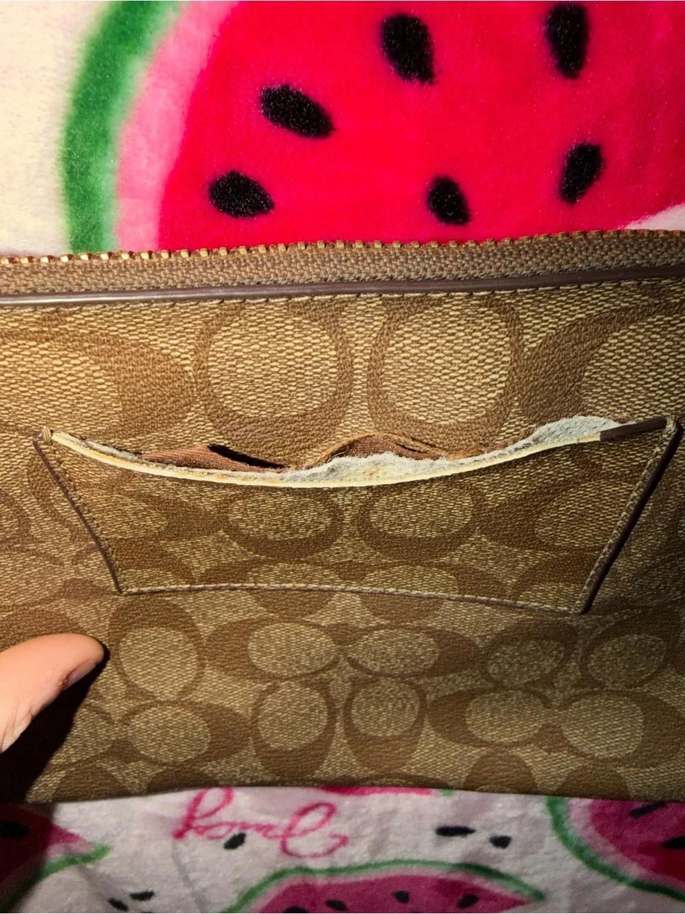 Coach compact crossbody